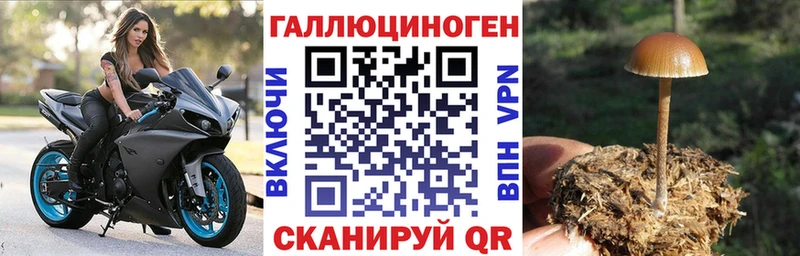 Купить  Лодейное Поле  Галлюциногенные грибы Cubensis 